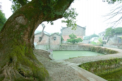 万家烟火一家风