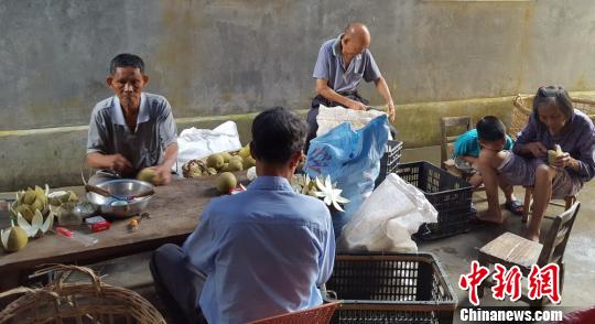 广东化州化橘红产品受海外市场青睐获准在加国生产