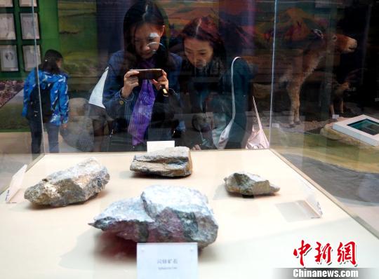 图为省外记者被昆仑山世界地质公园博物馆内的化石所吸引，驻足拍照。　孙睿 摄
