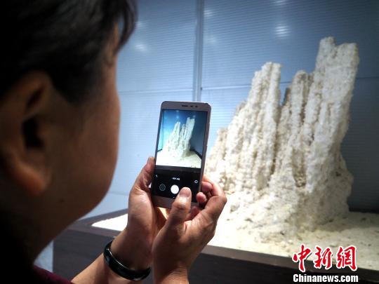 图为一名记者用手机拍摄盐花。　孙睿 摄