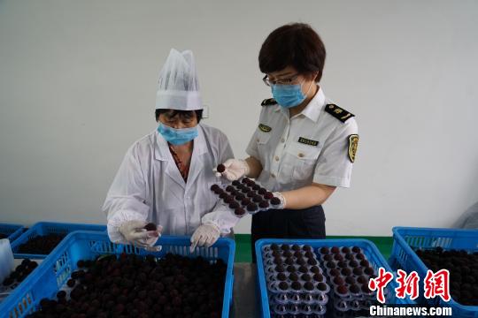 图为检验检疫场景。宁波出入境检验检疫局提供