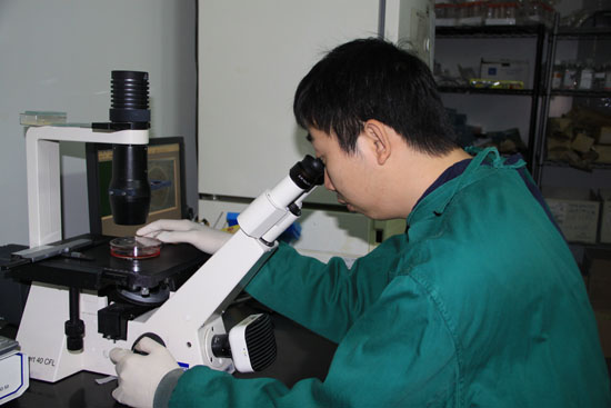 陈捷凯在实验室