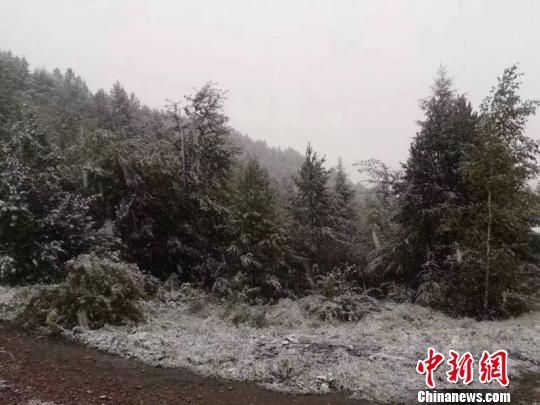 中国“北极”漠河迎来今秋首场降雪，街路两侧出现薄薄积雪。　钟欣 摄
