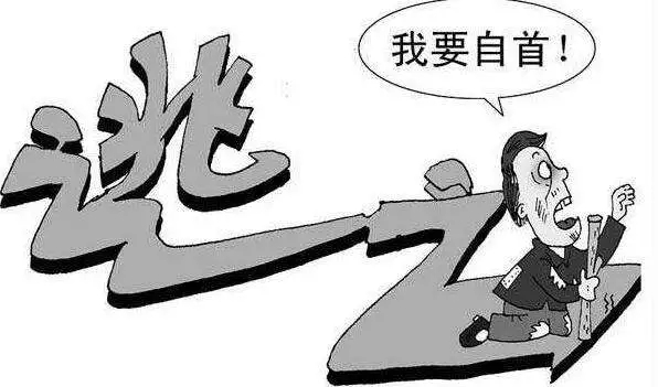 躲进甘蔗地拆车牌藏车 男子撞人逃逸10小时后自首