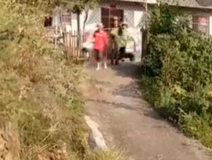 武汉市民过陶渊明式生活:抱团进山养老