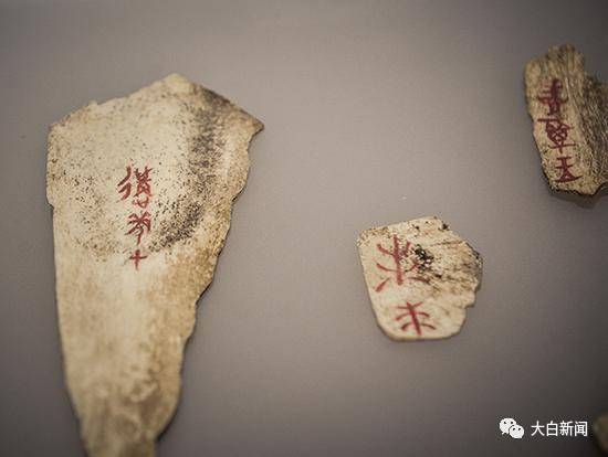 殷墟遗址博物馆内的甲骨文（资料图）