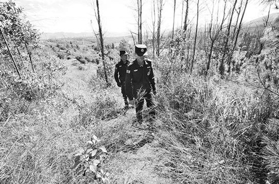 大一男生酒后夜宿旅馆未归 高校悬赏3万元寻人