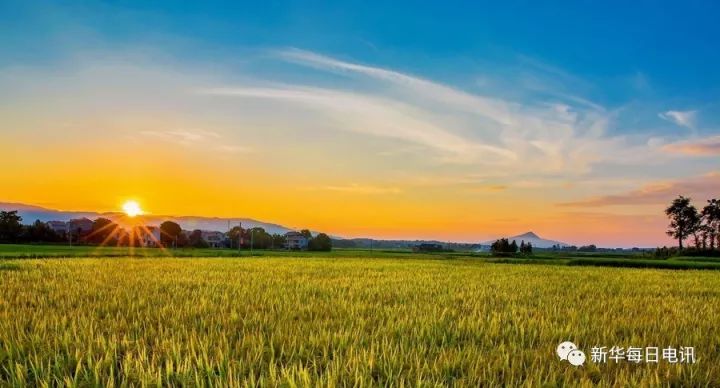 新华社谈检验干部的重要标准：进村是否被狗咬