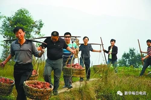 新华社谈检验干部的重要标准：进村是否被狗咬