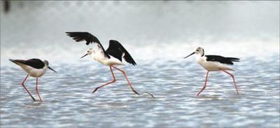 点击进入下一页