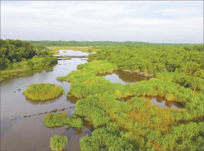 点击进入下一页