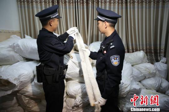 海关辑私警察展示查获的走私水貂皮 韦雪峰 摄