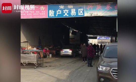 狗年能否带火今年狗市？商家:泰迪200元无人要