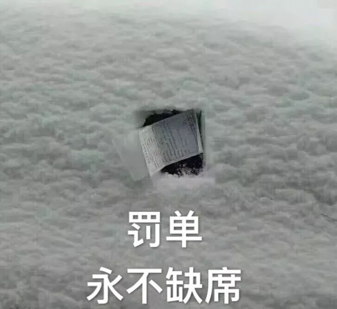 风里雪里罚单永不缺席！这张违停罚单火了网友笑疯