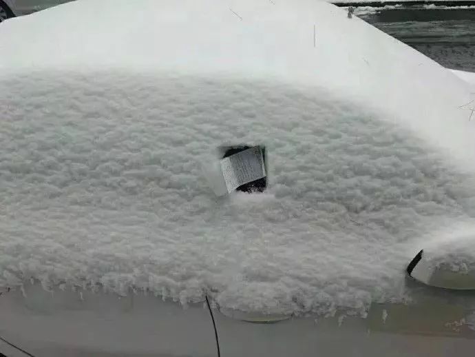 风里雪里罚单永不缺席！这张违停罚单火了网友笑疯