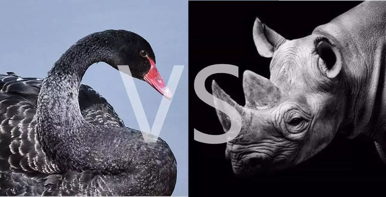 郭旋风的强监管:党报这篇访谈透露出哪些信号