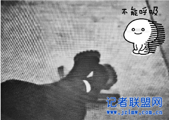 女子脚踩15厘米高跟鞋走路看手机 摔出脑震荡