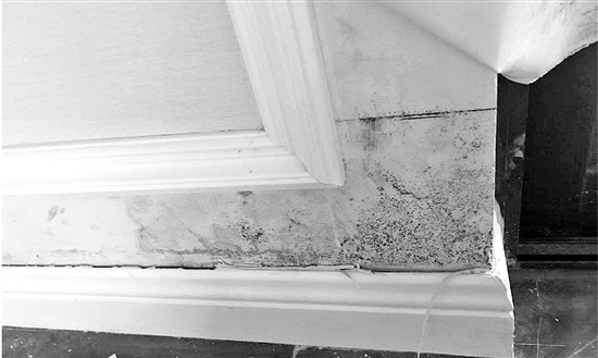 连阴雨成楼盘照妖镜 杭州800万豪宅墙体大面积发霉