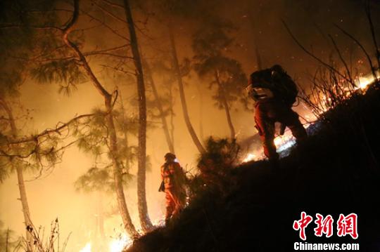 森林消防员双人协作扑打火线。　李从林 摄