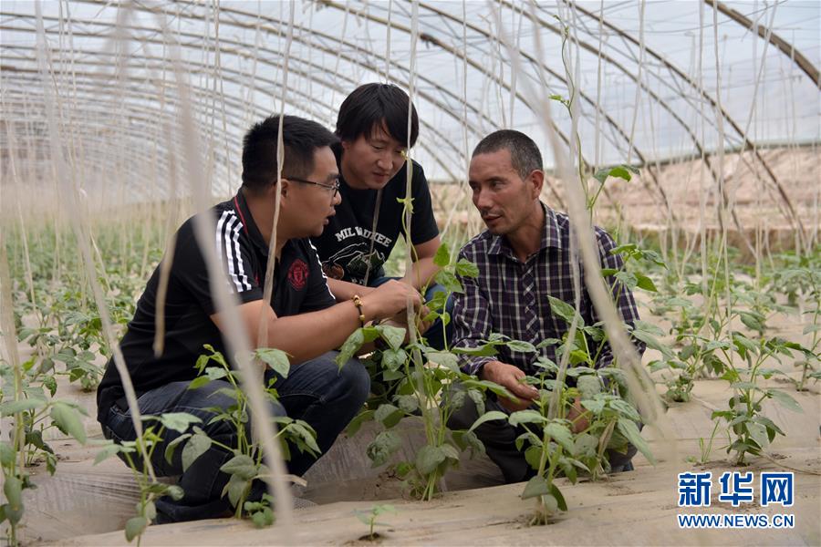 (新华全媒头条·图文互动)(10)同心援疆,“壮阔”祖国西北角
